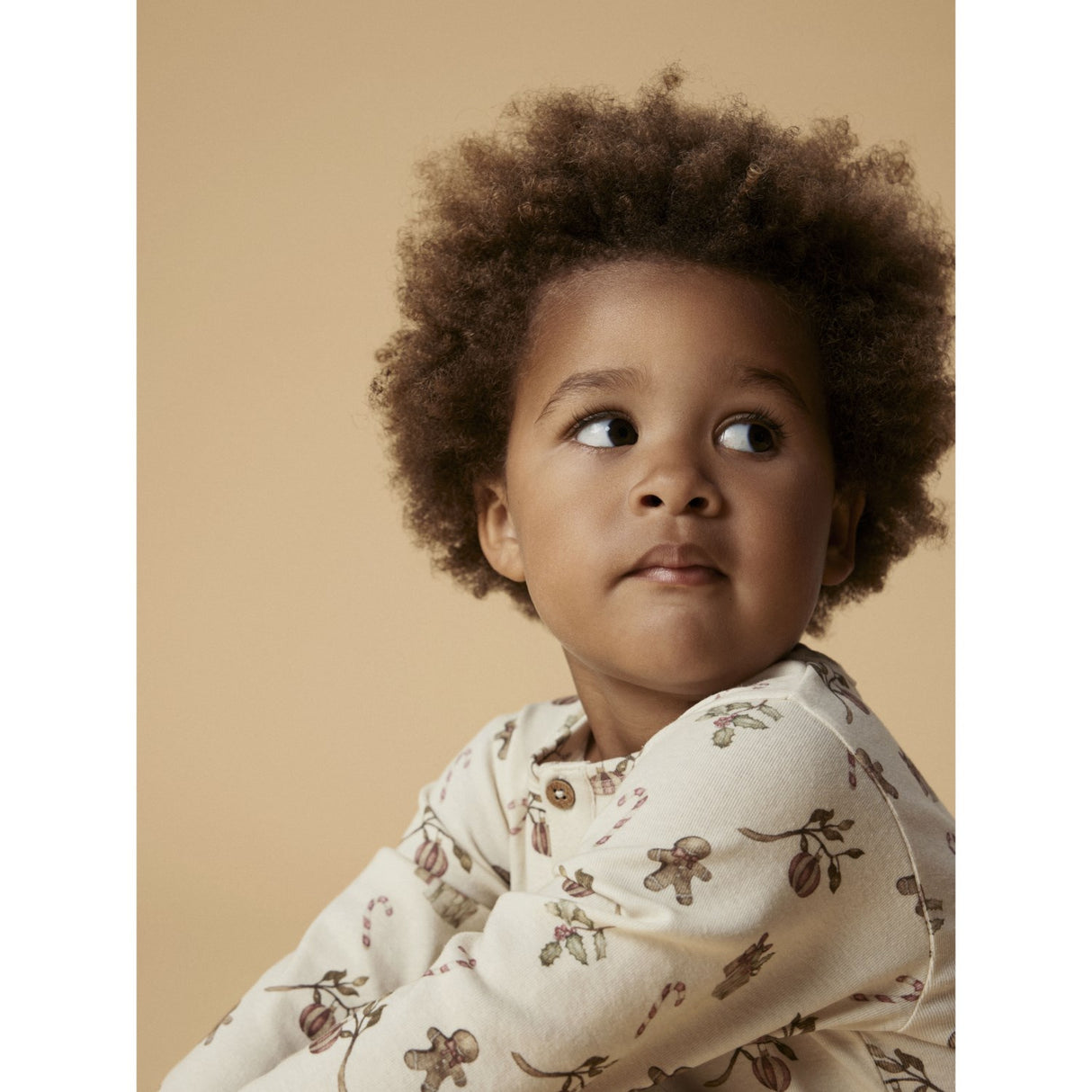 Lil'Atelier Turtledove Christmas Nmnlayo Git Ls Nightset Lil