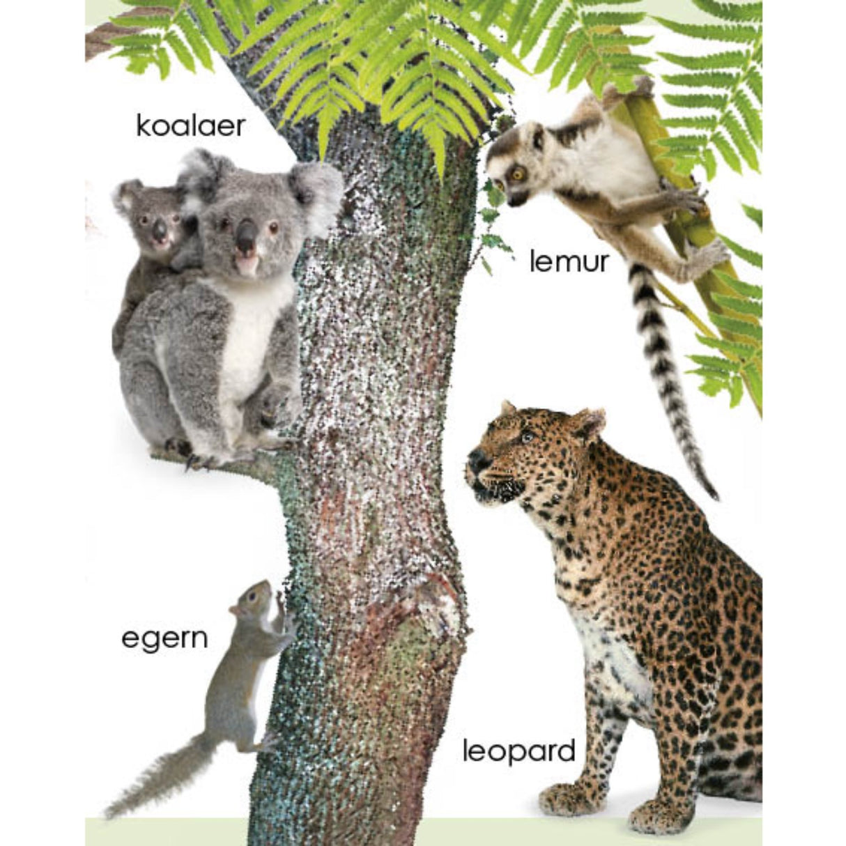 Forlaget Tukan Kigge-Pege-Snakke: Dyr