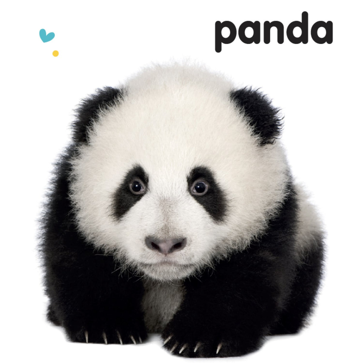 Forlaget Tukan Ryste-Ryste: Dyreunger