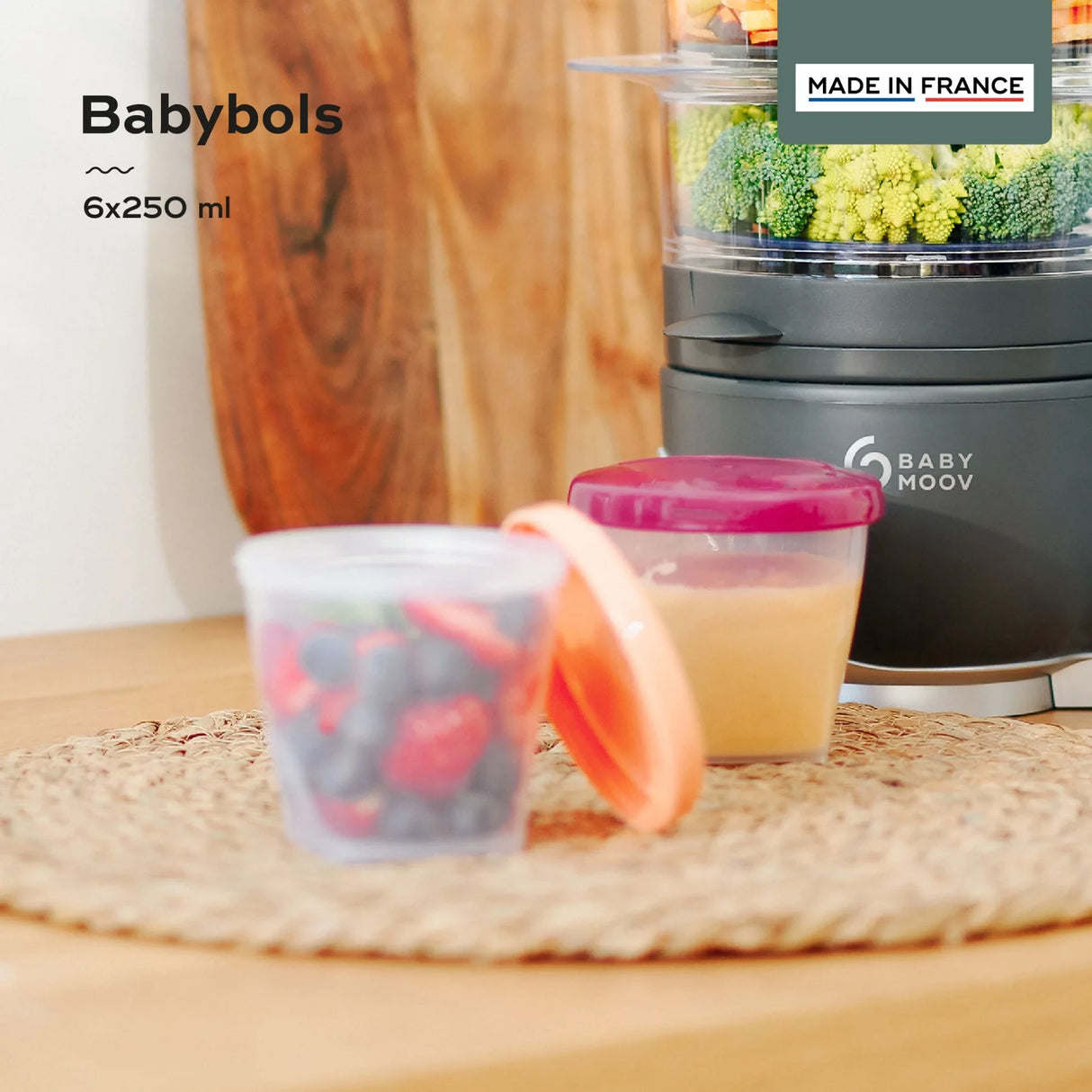 Babymoov Multi Food Containers 250 Ml 6-Pack