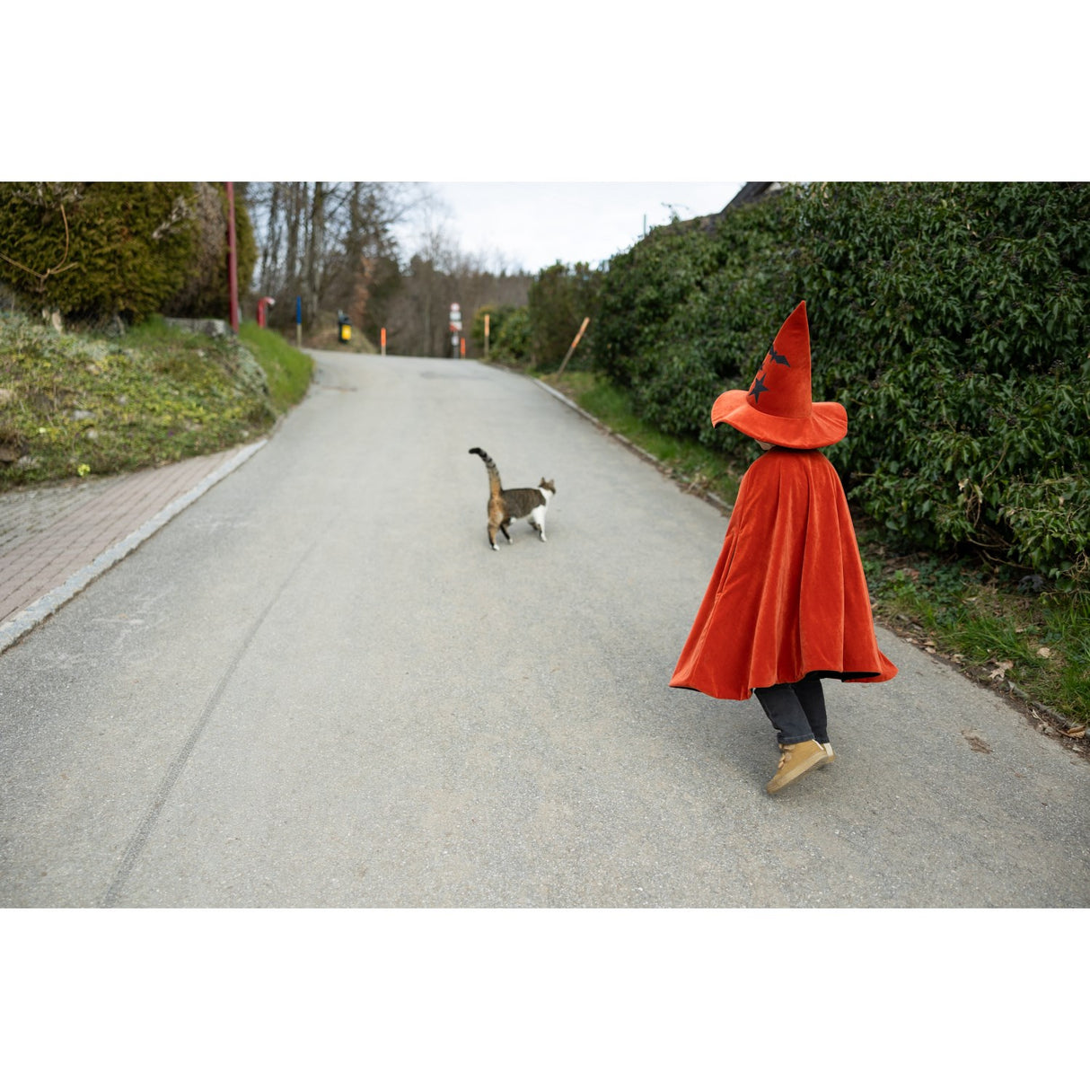 Great Pretenders Autum Embers Wizard Cape With Hat