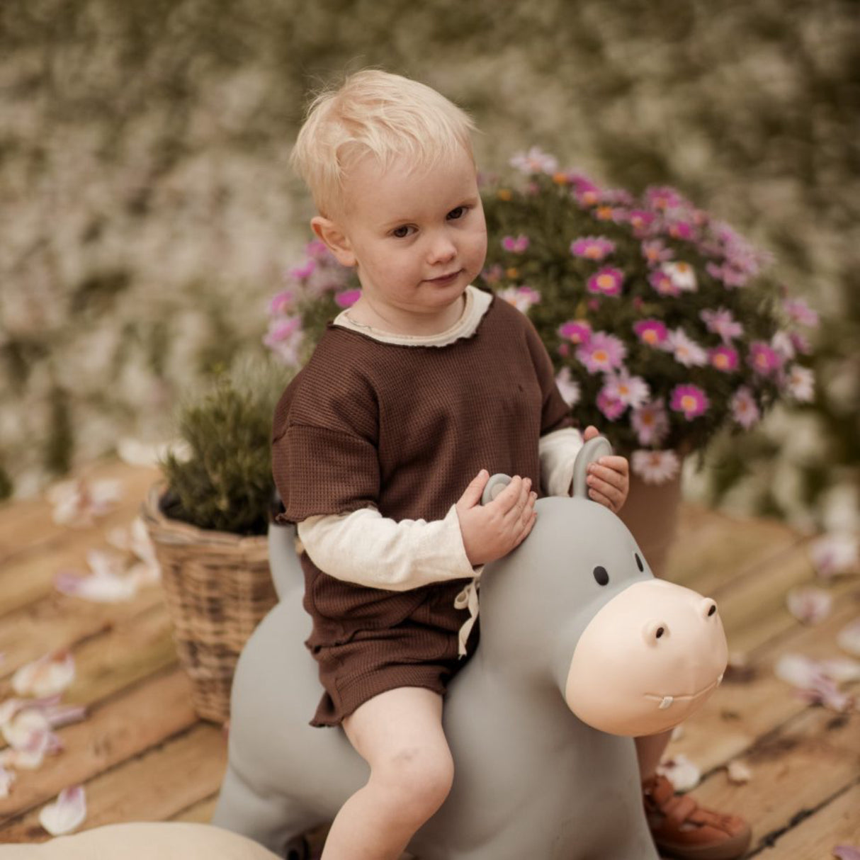 Find that Hippo Hoppe-Dyr - Holger Flodhest