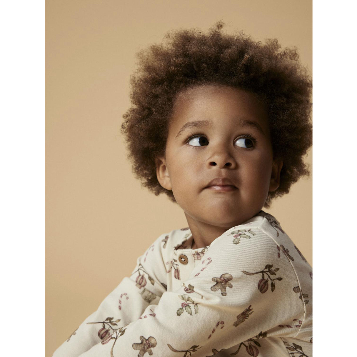 Lil'Atelier Turtledove Christmas Nmnlayo Git Ls Nightset Lil