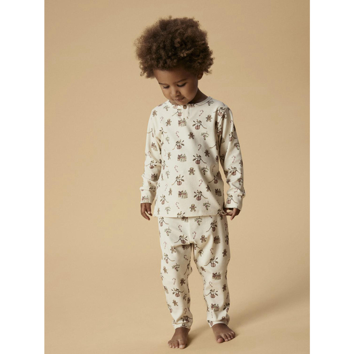 Lil'Atelier Turtledove Christmas Nmnlayo Git Ls Nightset Lil