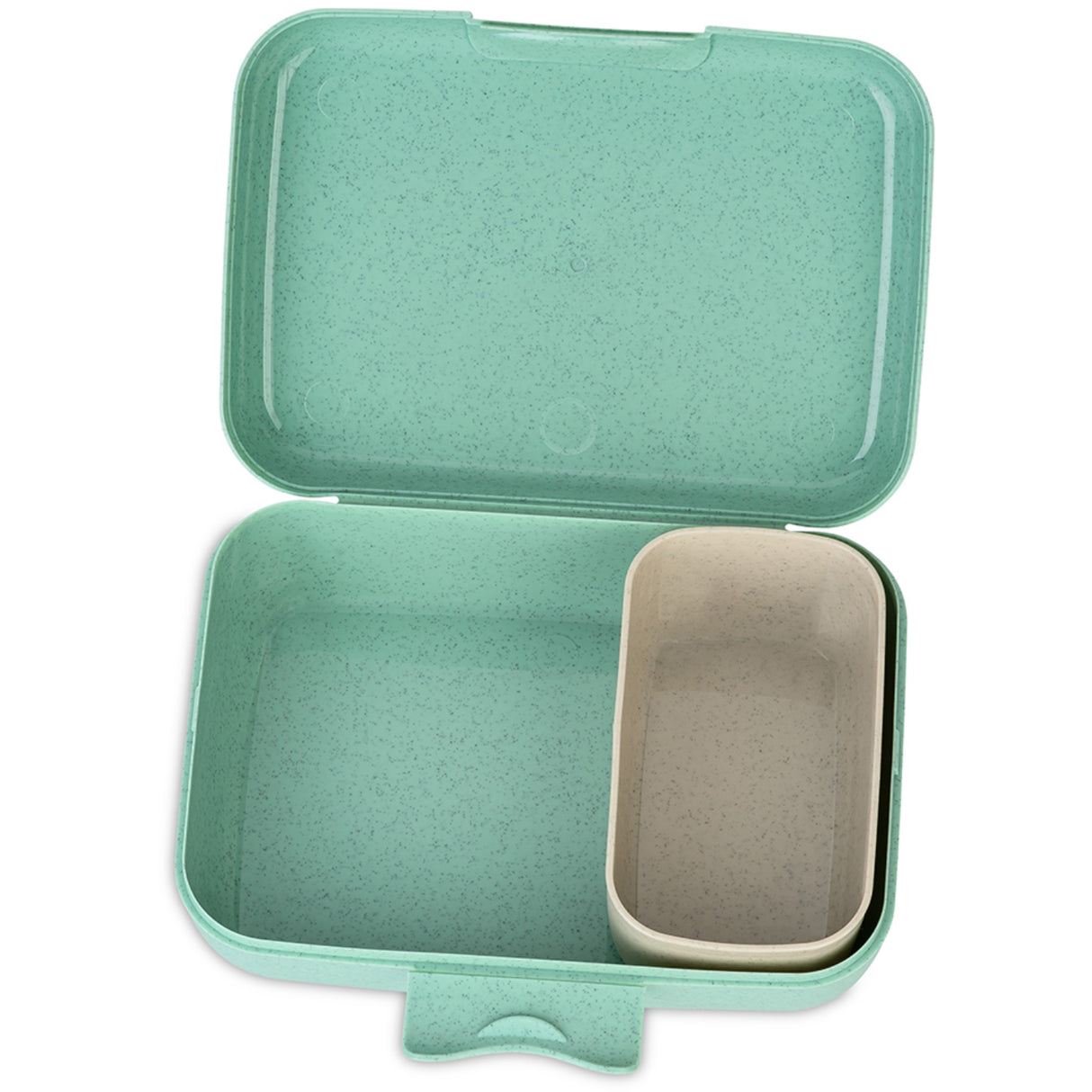 Koziol Organic Sage Green Lunch Box With Separation Bowl Candy L Rex