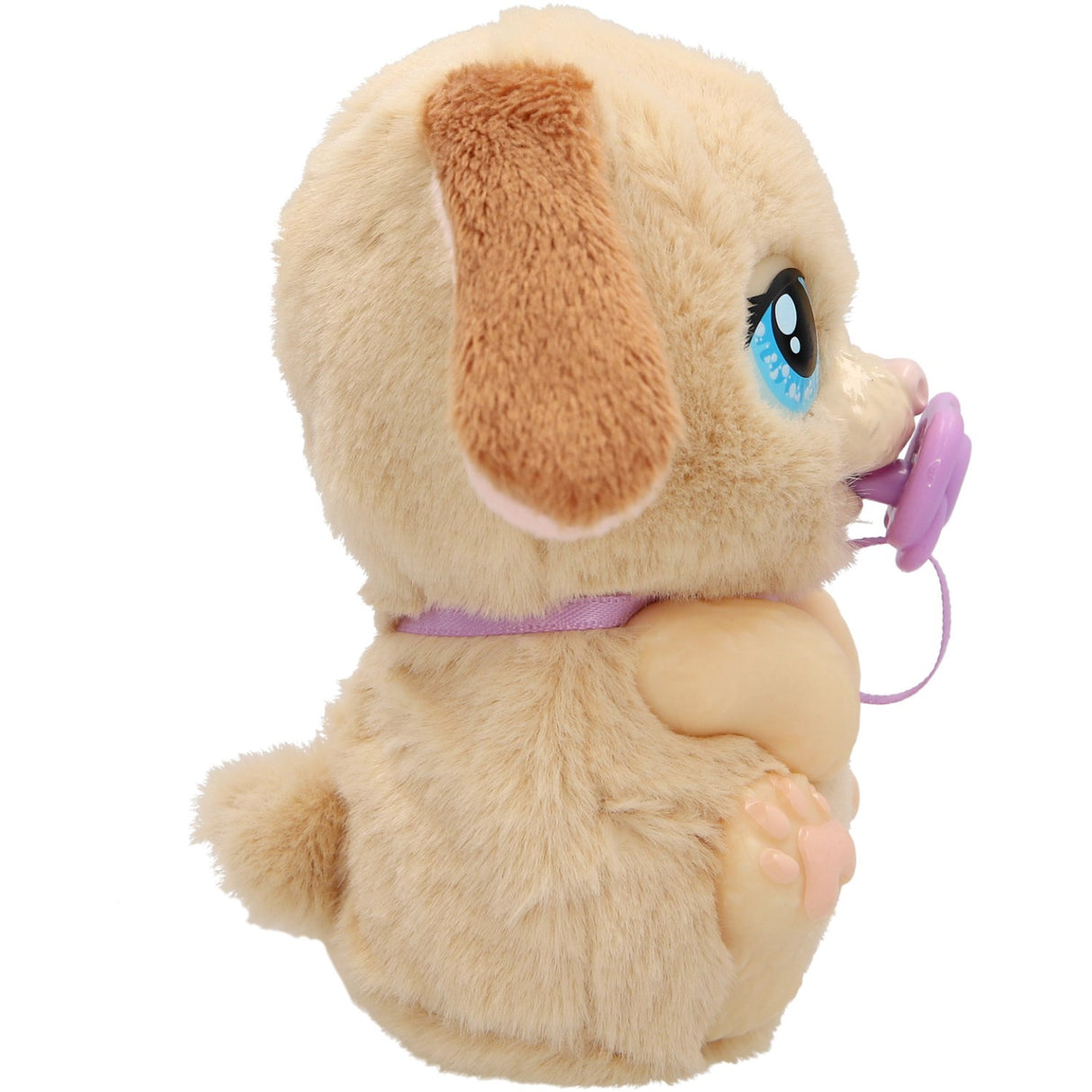 Baby Paws Just Born Puppy