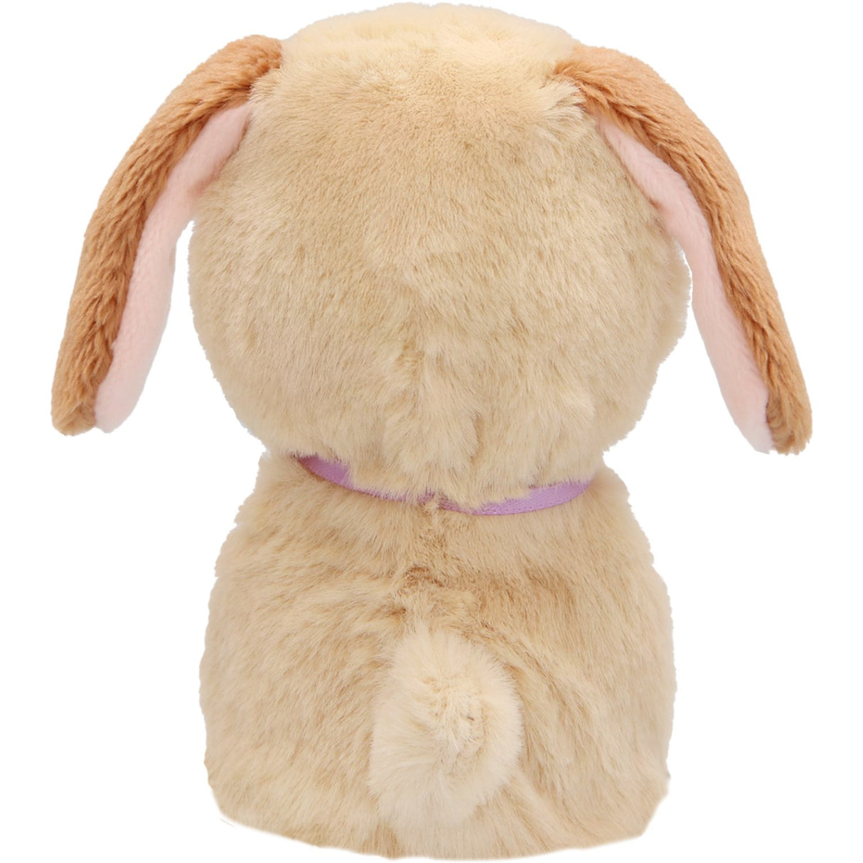 Baby Paws Just Born Puppy