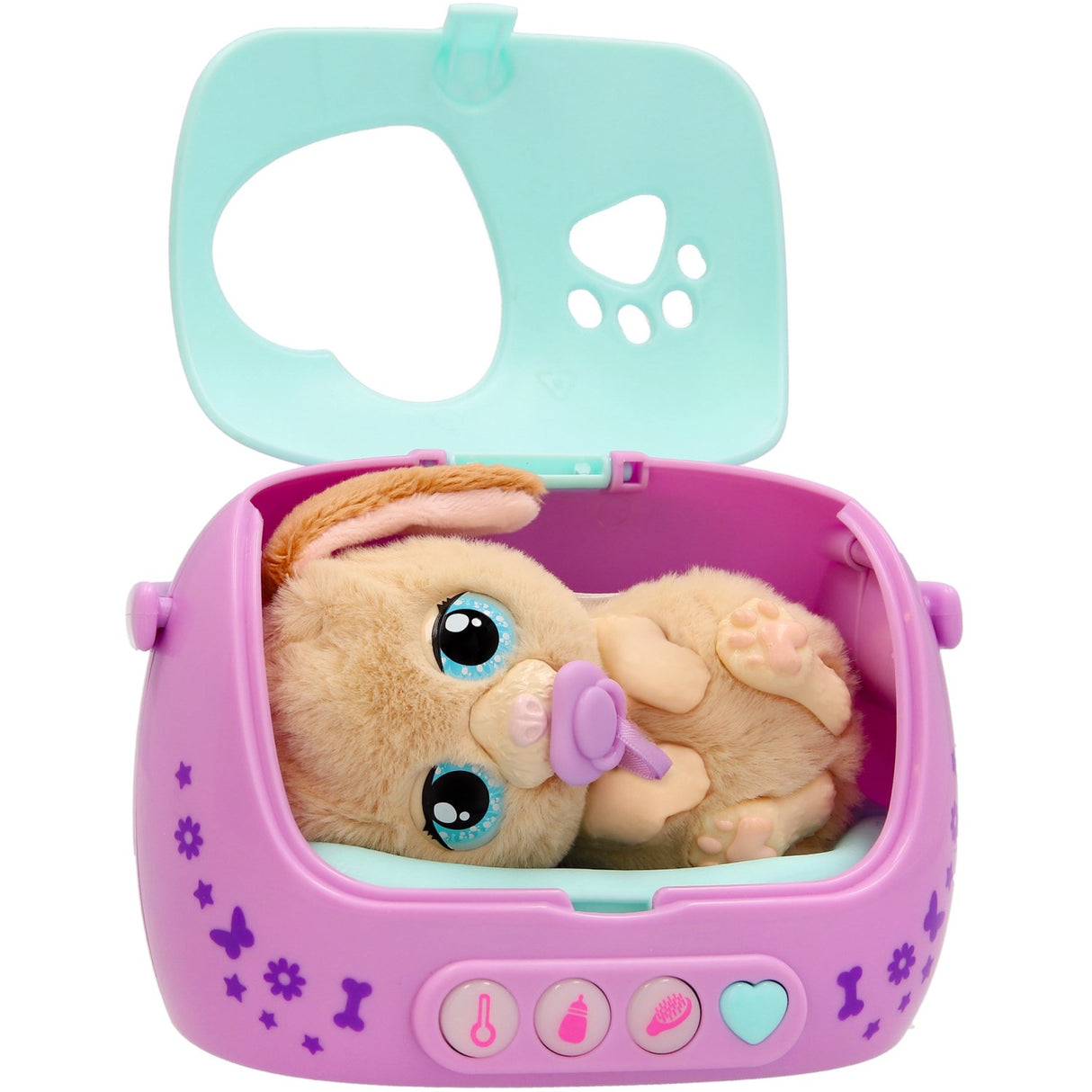 Baby Paws Just Born Puppy