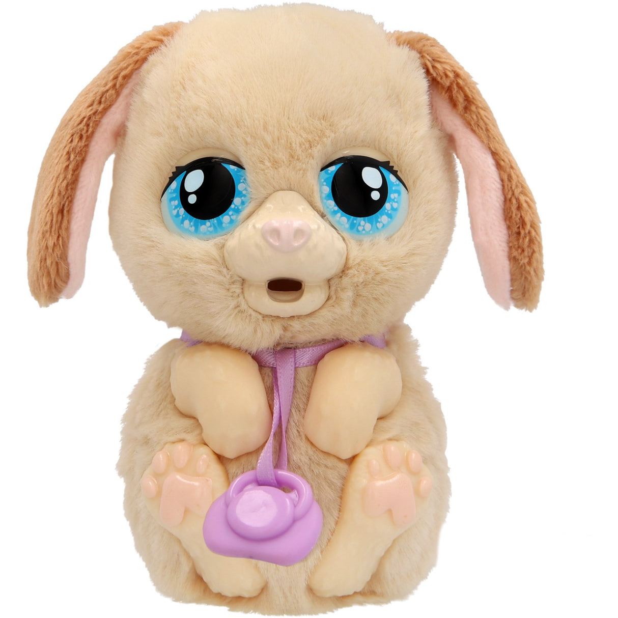 Baby Paws Just Born Puppy