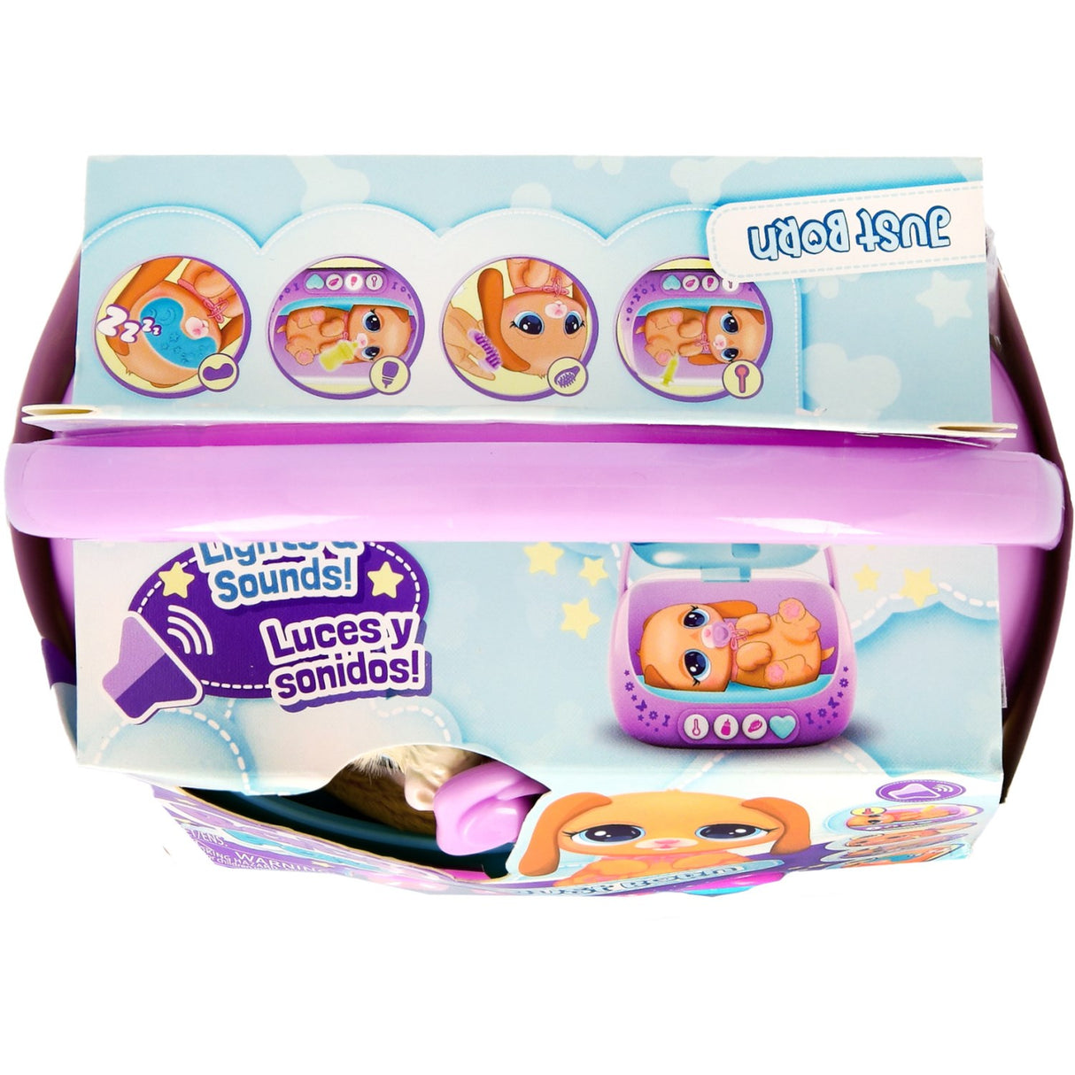 Baby Paws Just Born Puppy