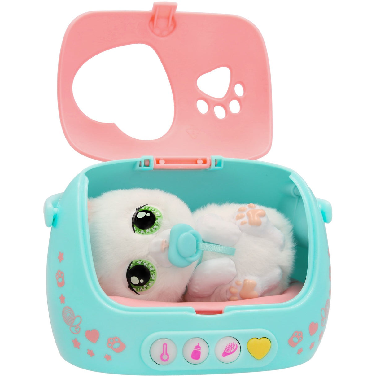 Baby Paws Just Born Cat