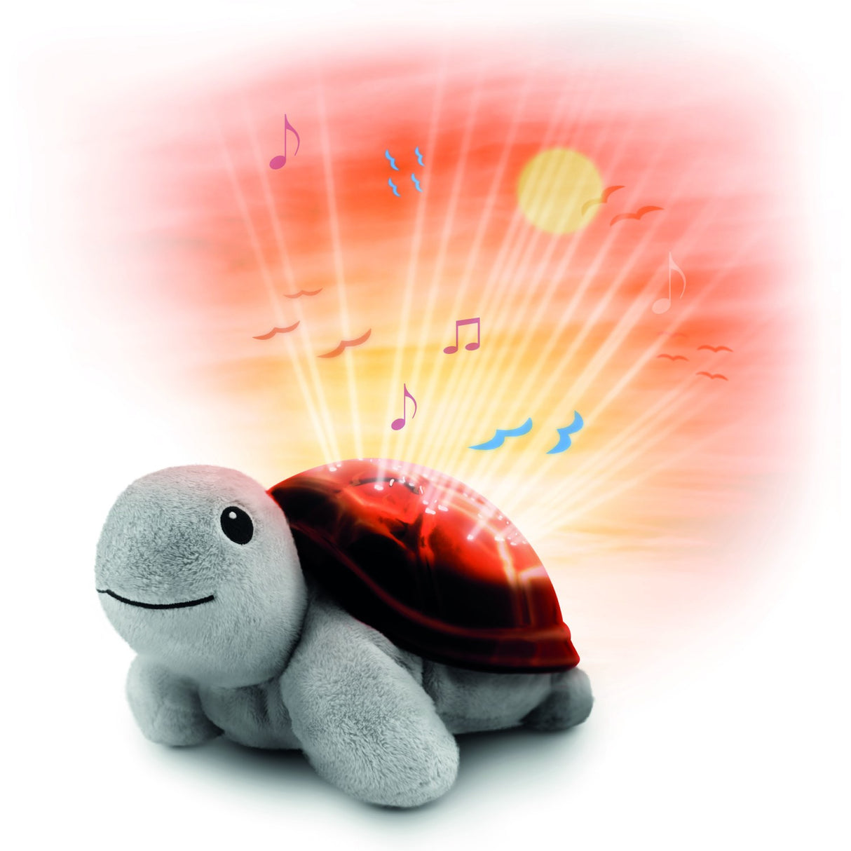 Zazu Brown Tim The Turtle Projector