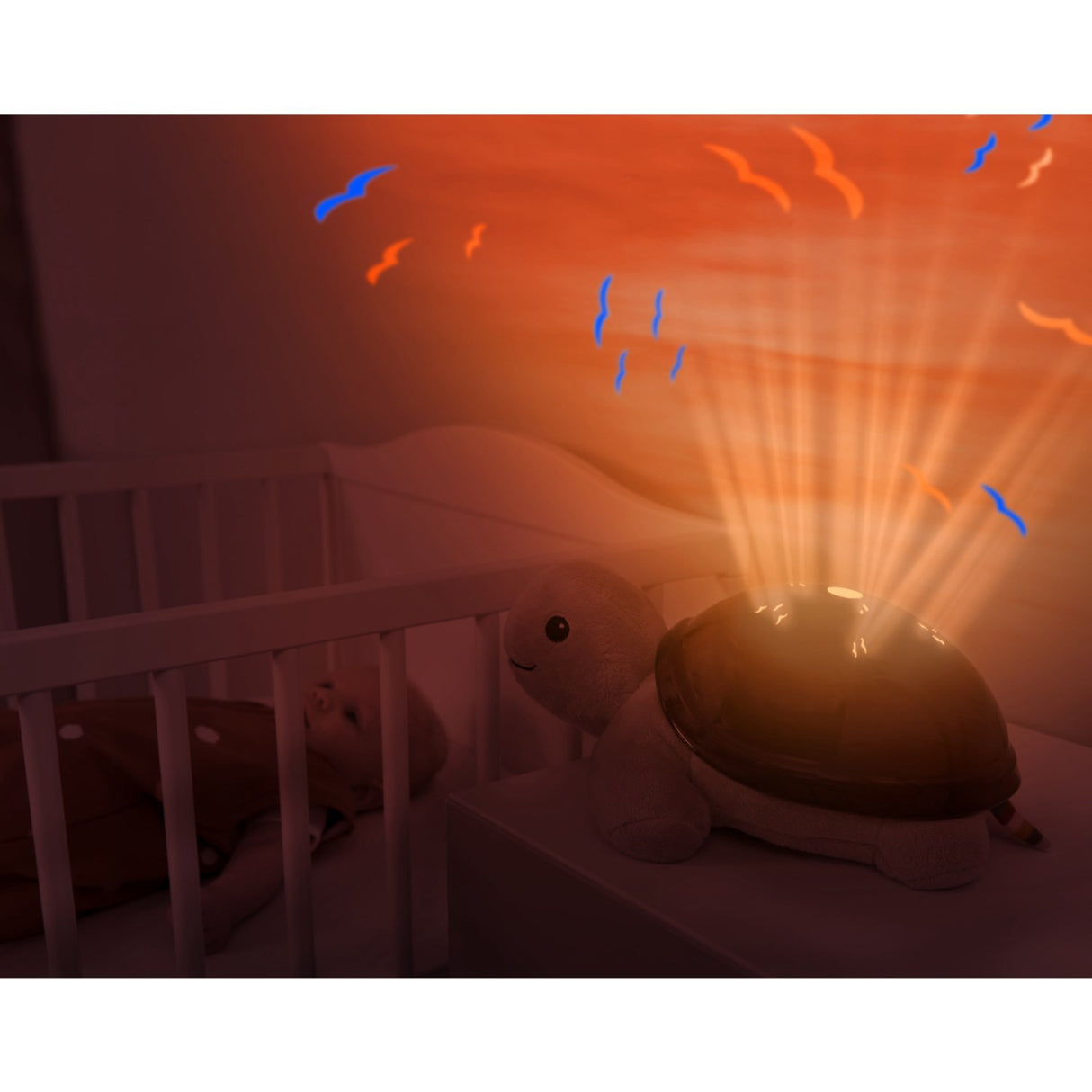 Zazu Brown Tim The Turtle Projector