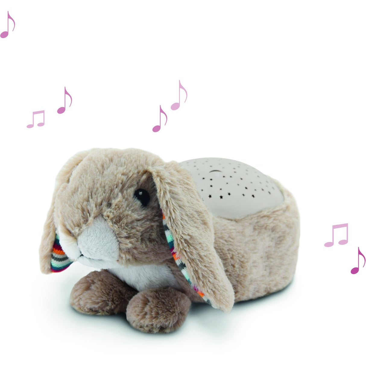 Zazu Brown Ruby The Rabbit Projector