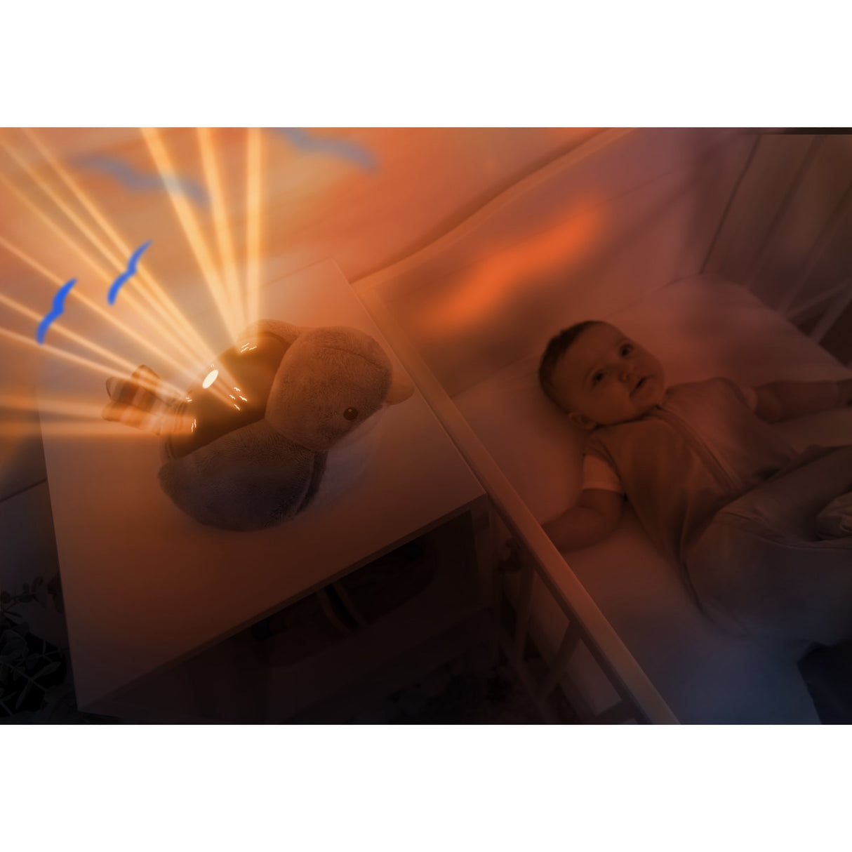 Zazu Red Shally The Sparrow Projector