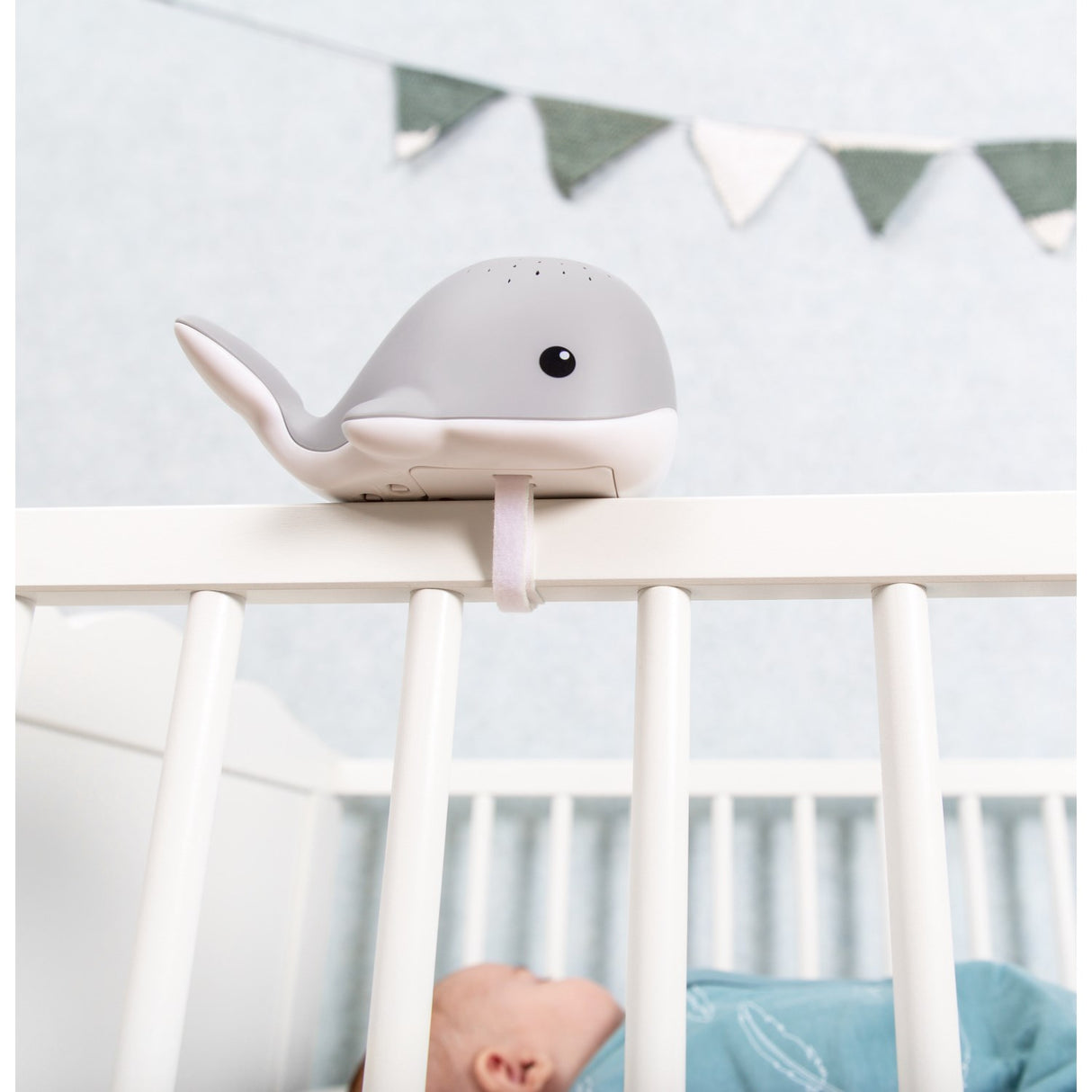 Zazu Grey Wally The Whale Projector