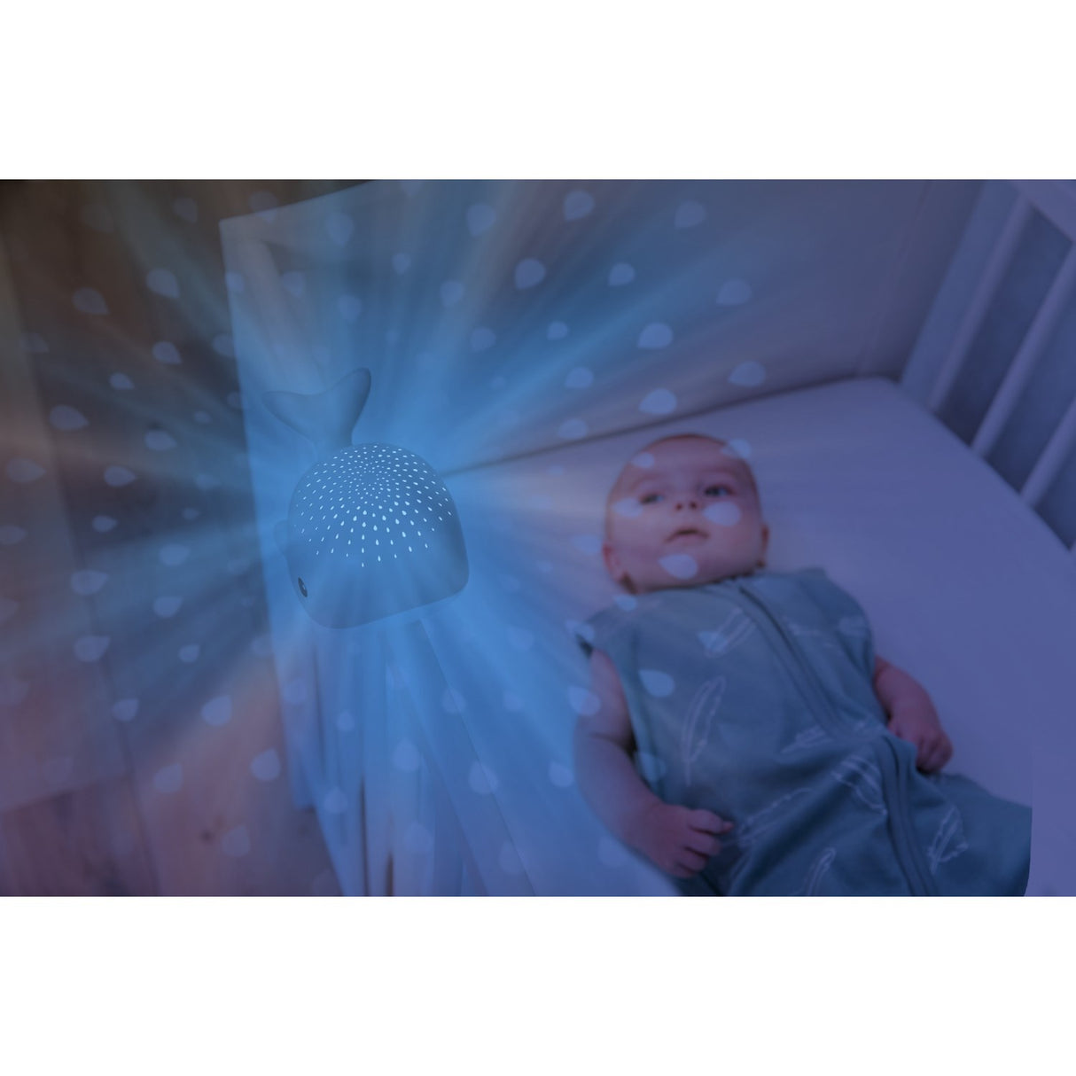 Zazu Grey Wally The Whale Projector