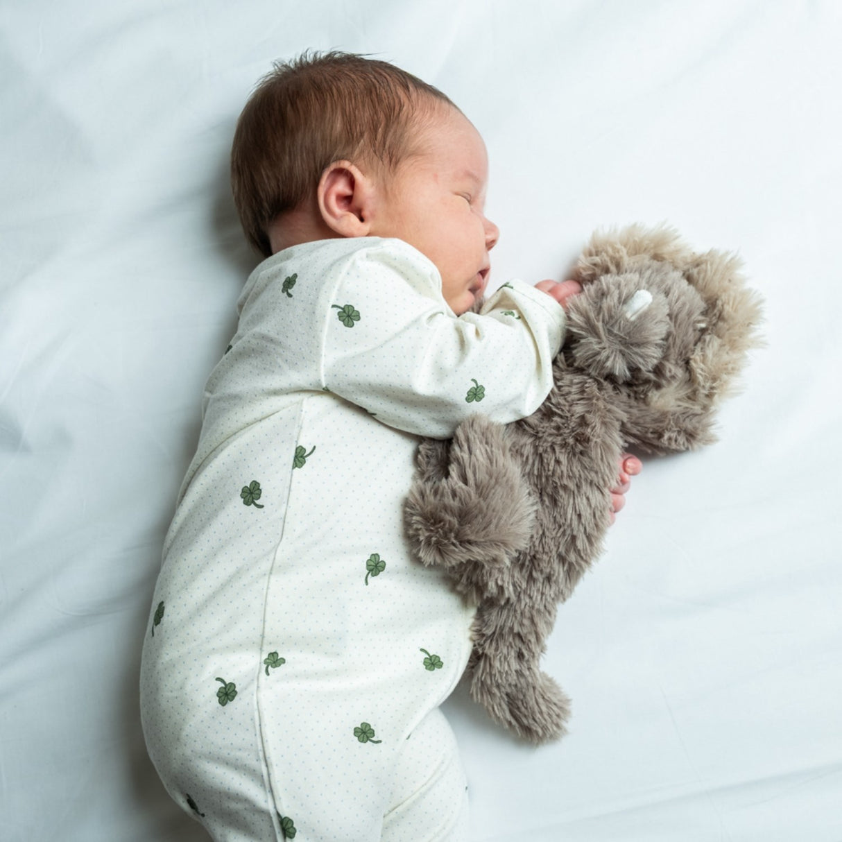 That's Mine Dino Houston Heavy Teddy Mini