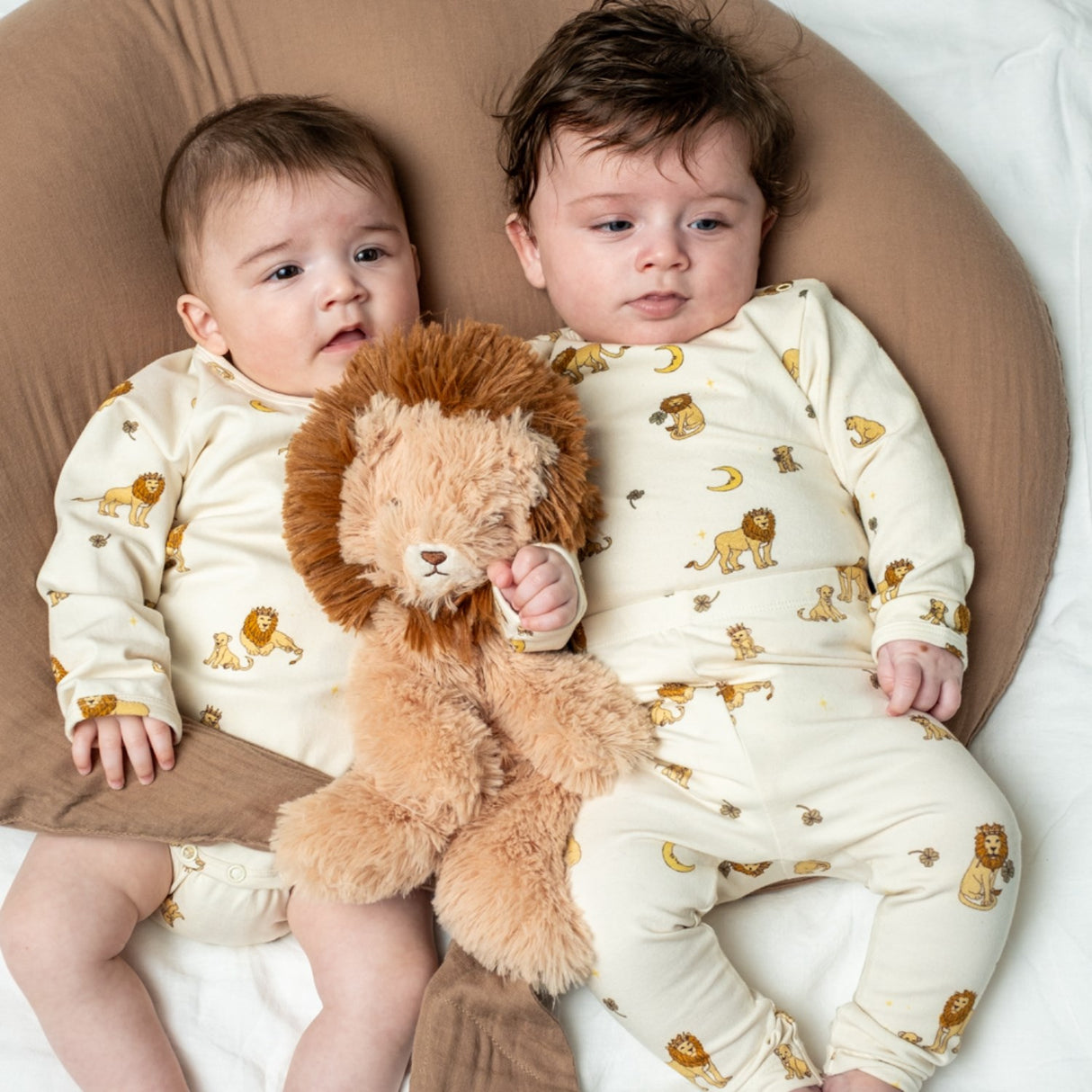 That's Mine Lion Houston Heavy Teddy Small