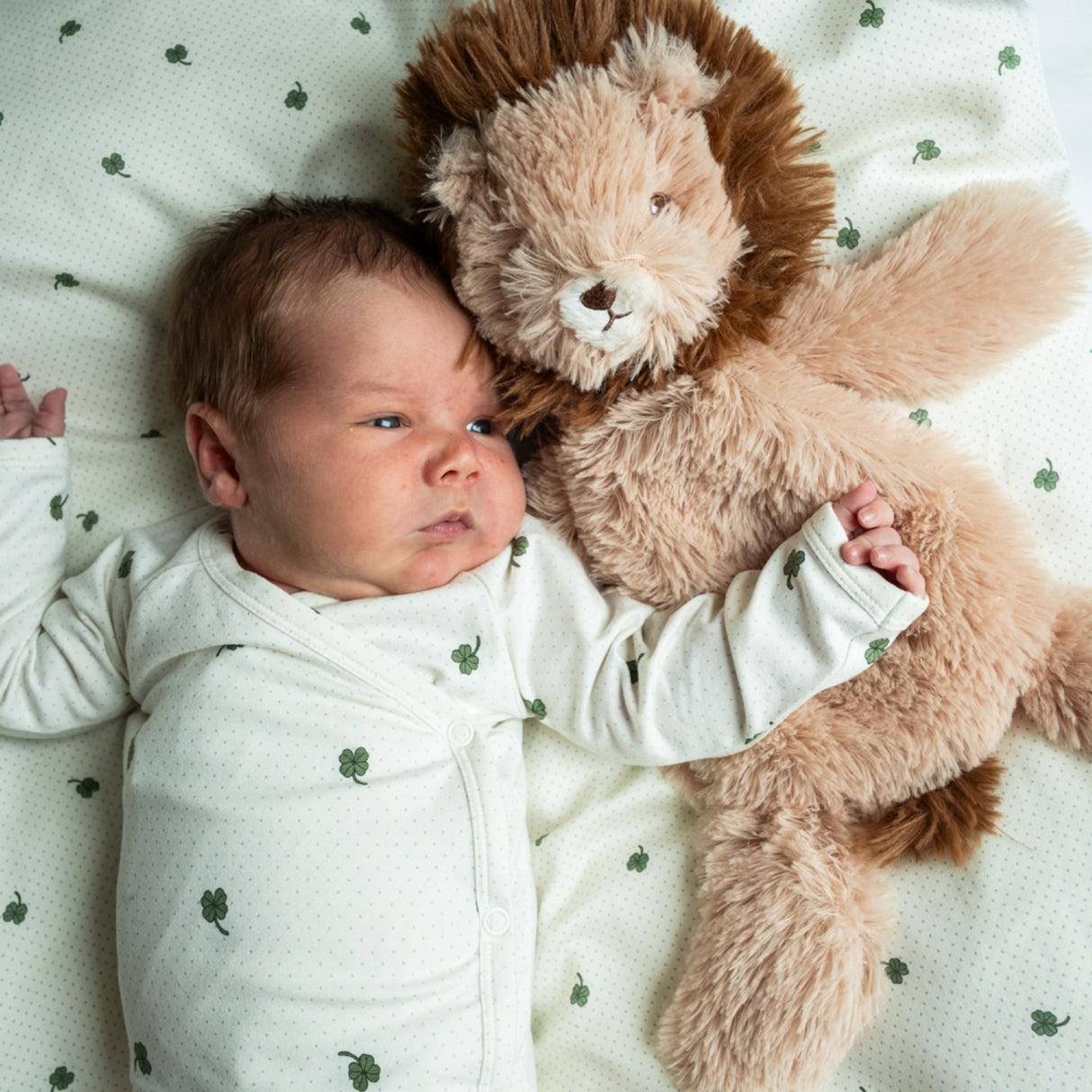 That's Mine Lion Houston Heavy Teddy Small