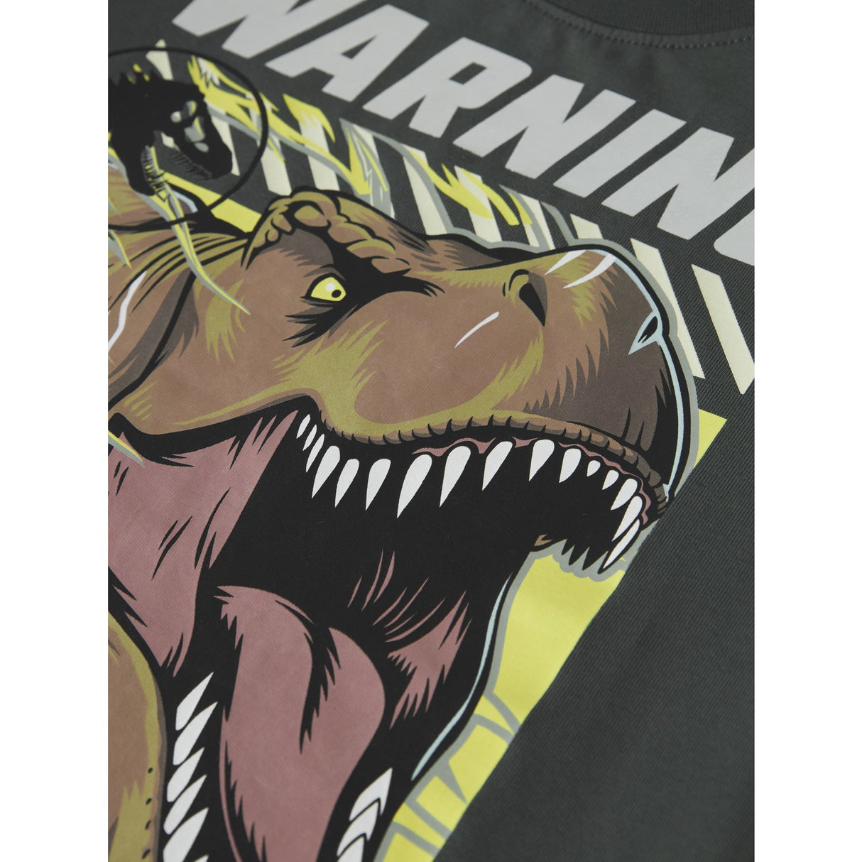 Name It Urban Chic Nmmjim Jurassic Ls Nreg Top Box Noos Sky