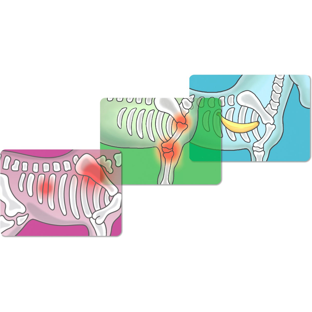 Schleich Happy Horse Hospital