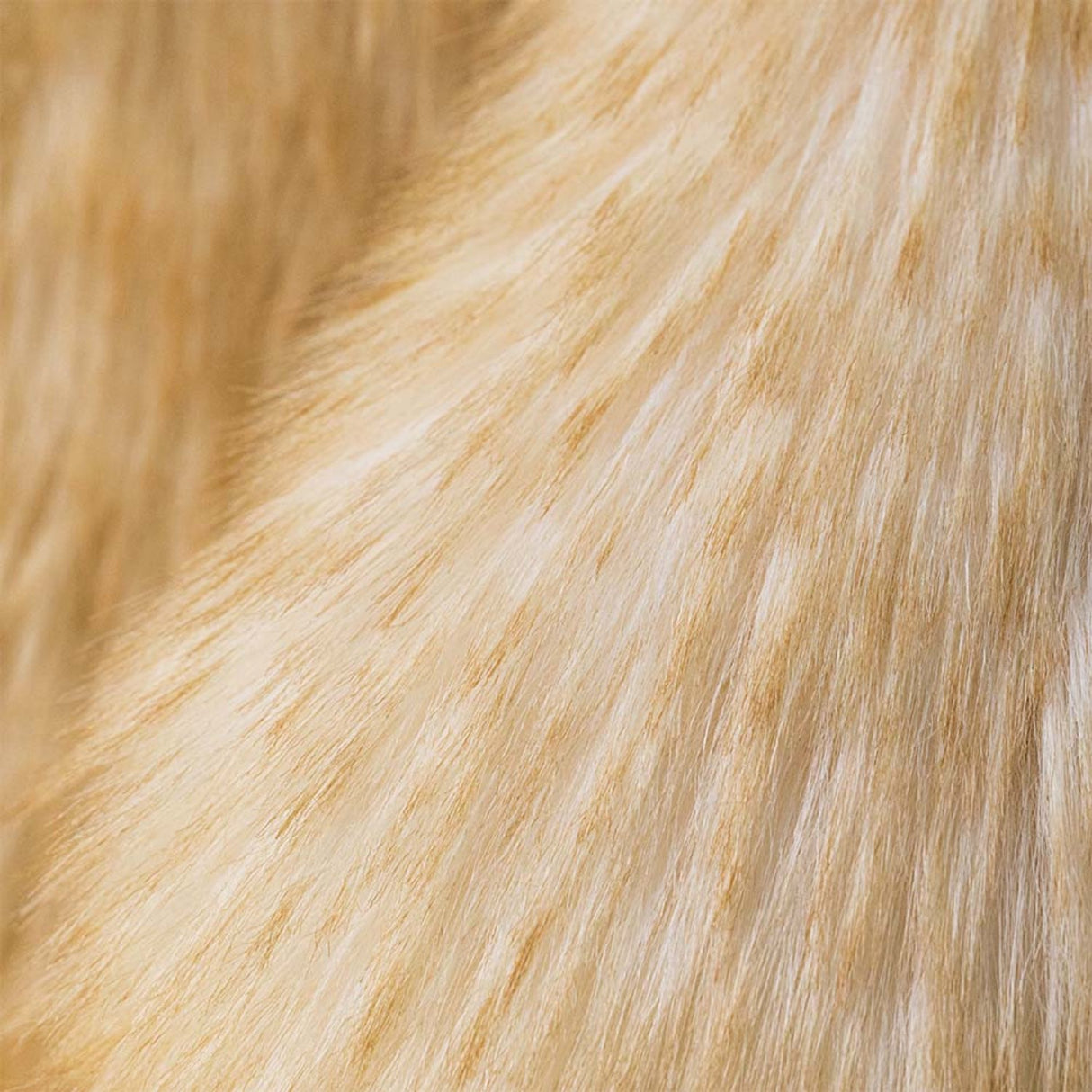 Jellycat Springlowe Luxe Bunny Big