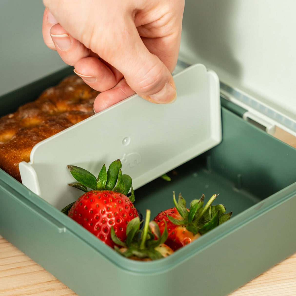 DonebyDeer Green Tiny Trails Lunch Box With Divider