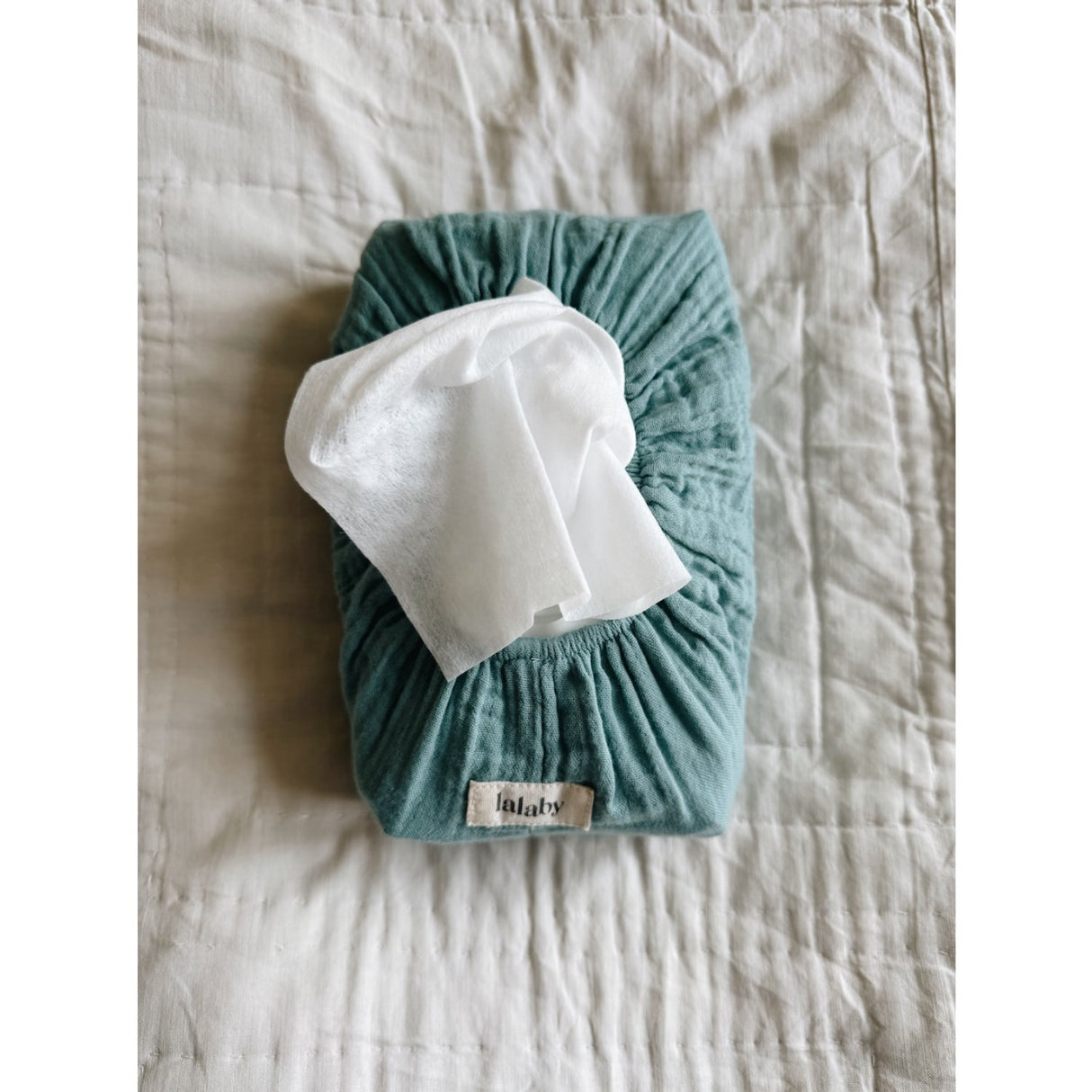 Lalaby Pool Wet Wipe Cover