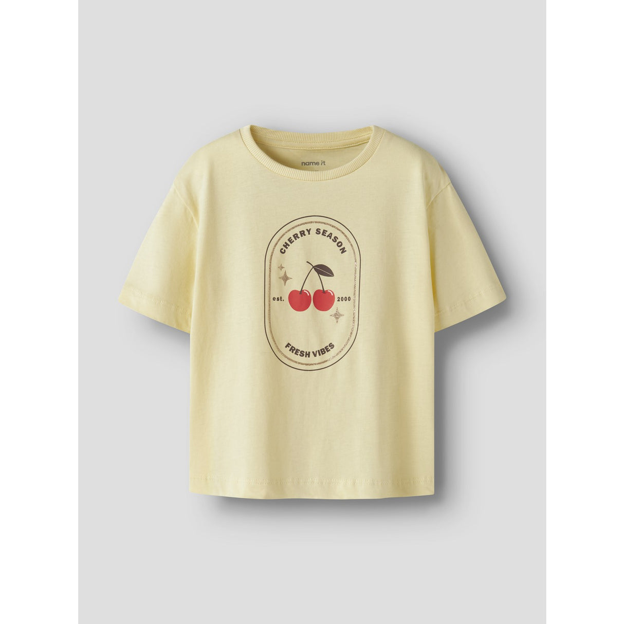 Name It Anise Flower Nmfkatrina Ss Nreg Top Pb