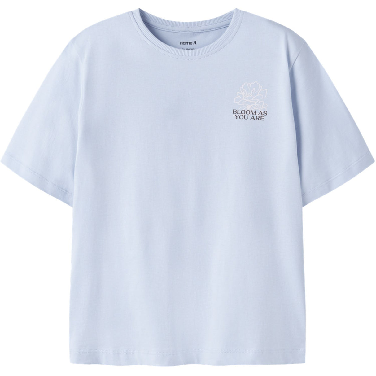 Name It Sheer Blue Nkfkatelin Ss Nreg Top Pb