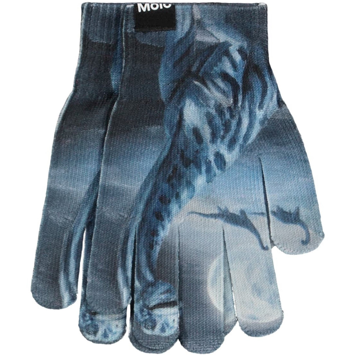 Molo Arty Dinos Kaya Outerwear Set