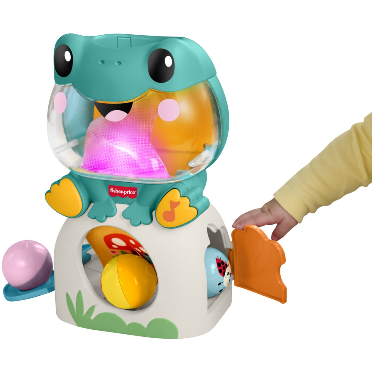 Fisher-Price® Seek & Find Frog