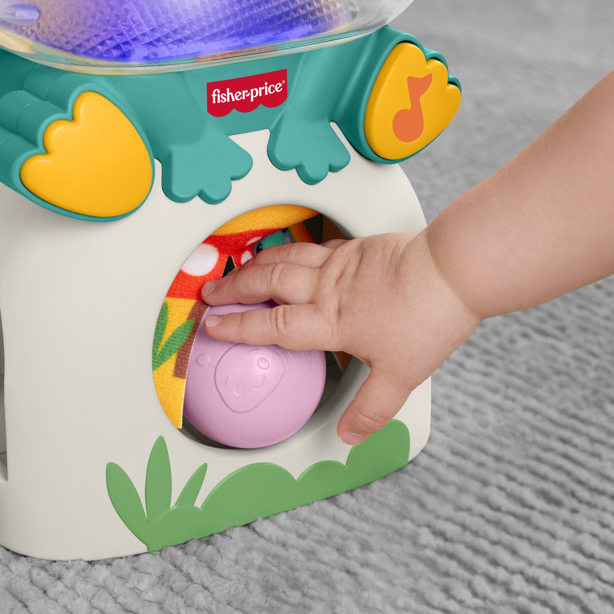 Fisher-Price® Seek & Find Frog