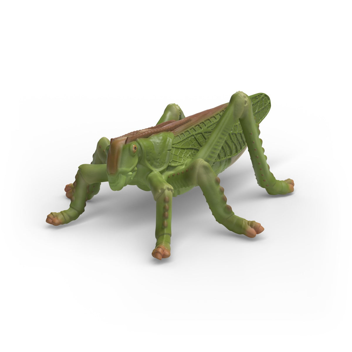Schleich Insekt-Opdagelsessæt