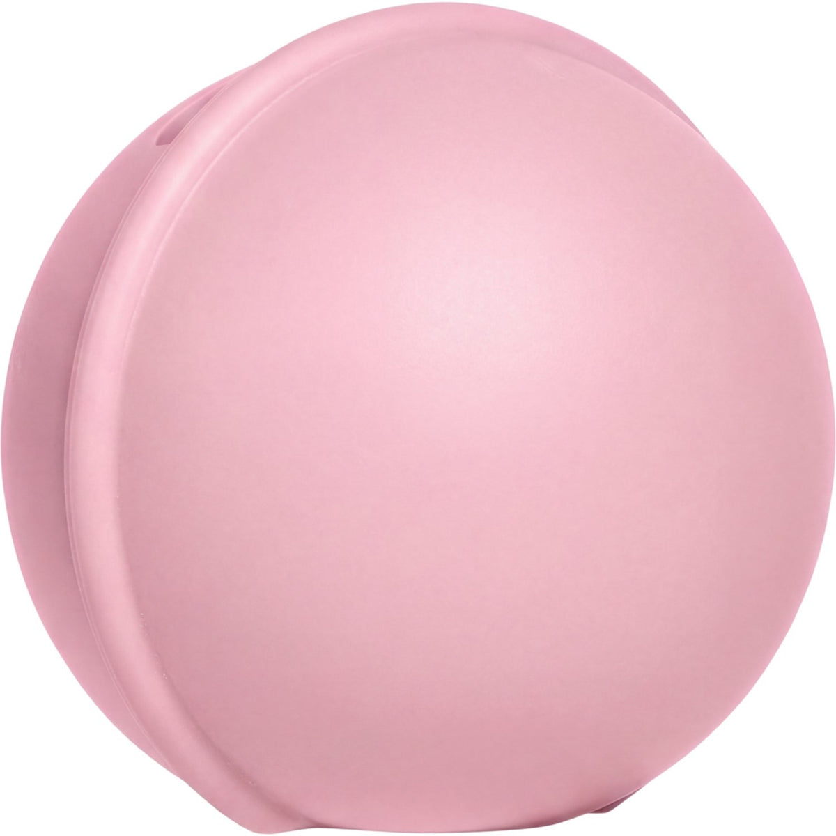Bibs Baby Pink Pacifier Case Mini