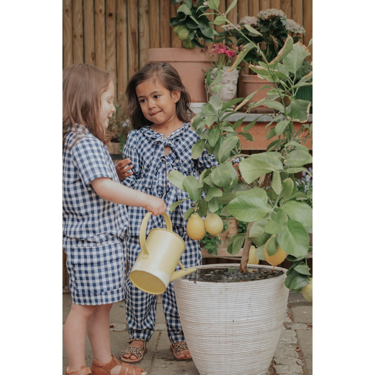 Fliink Insignia Sandshell Check Zorro Cargo Shorts