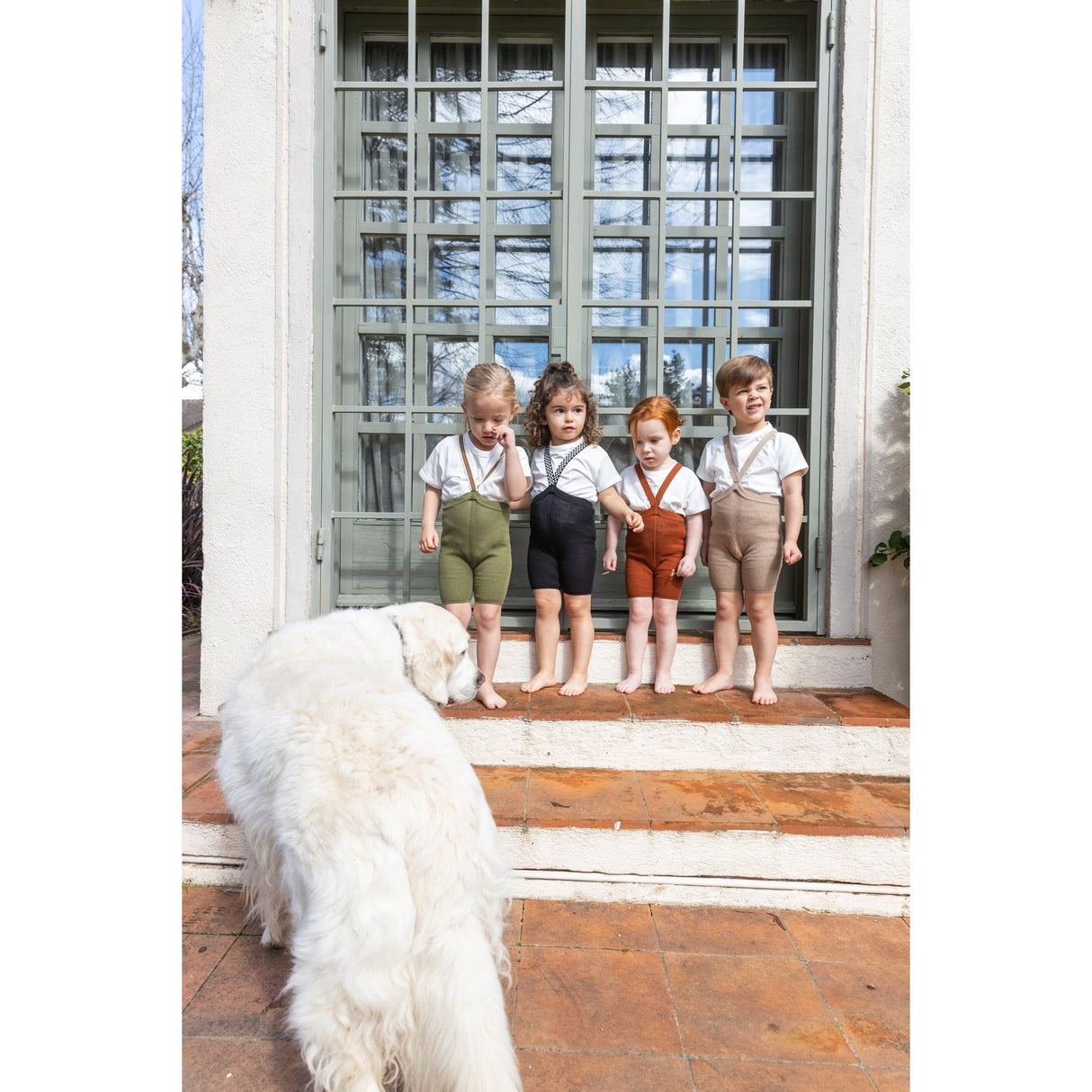 Silly Silas Cinnamon Shorty Tights With Braces