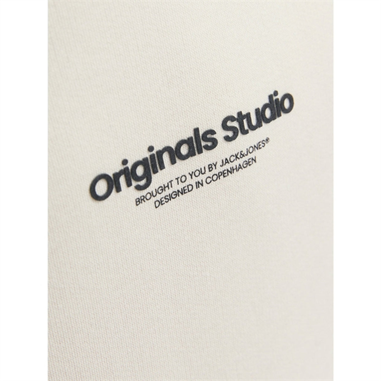 Jack & Jones Junior Moonbeam Vesterbro Sweat Hoodie Noos