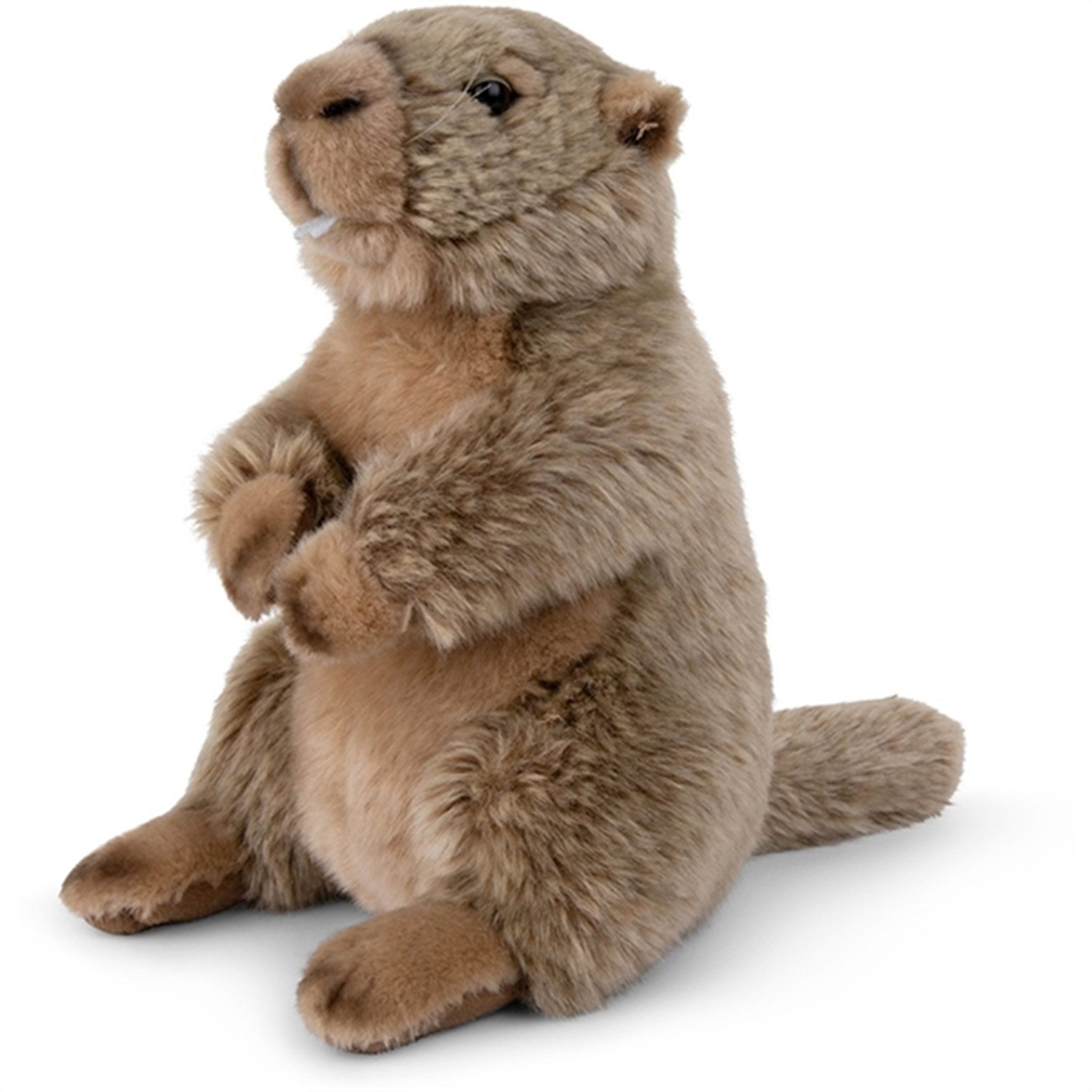 Bon Ton Toys WWF Plush Marmots 23 cm