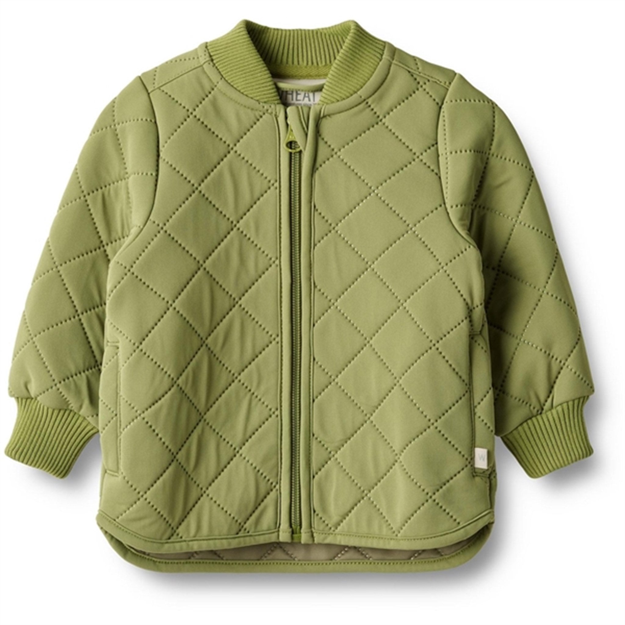 Wheat Thermo Chive Jacket Loui