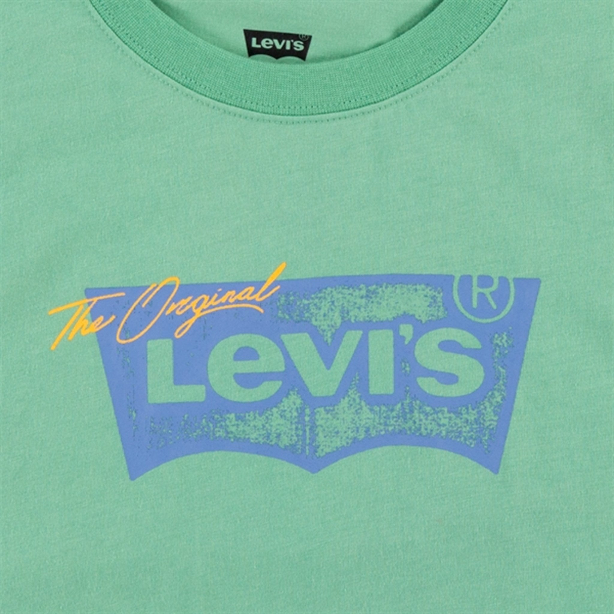 Levi's Distressed Batwing T-shirt Green 2