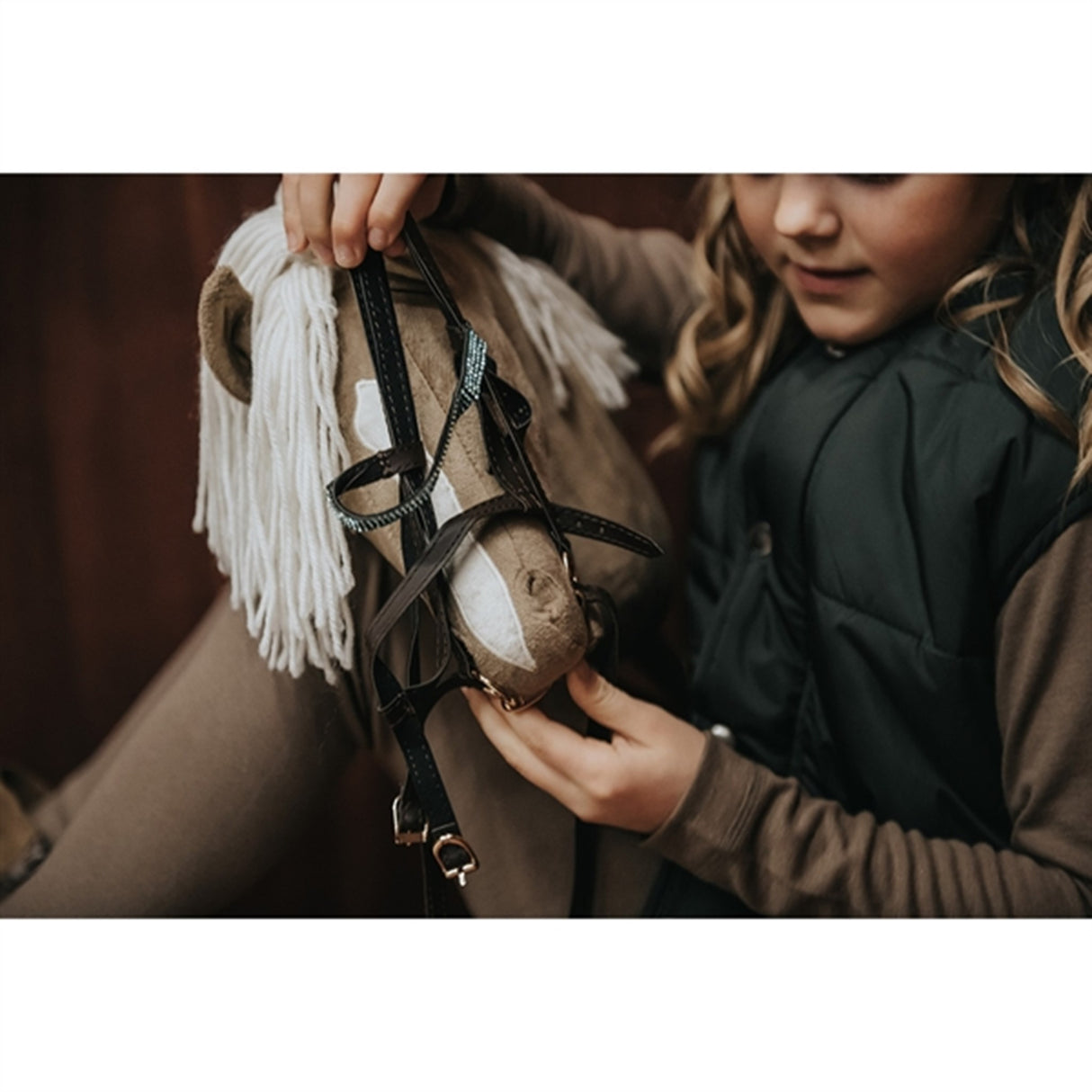 Cheval Roi Hobby Horse Diva 5