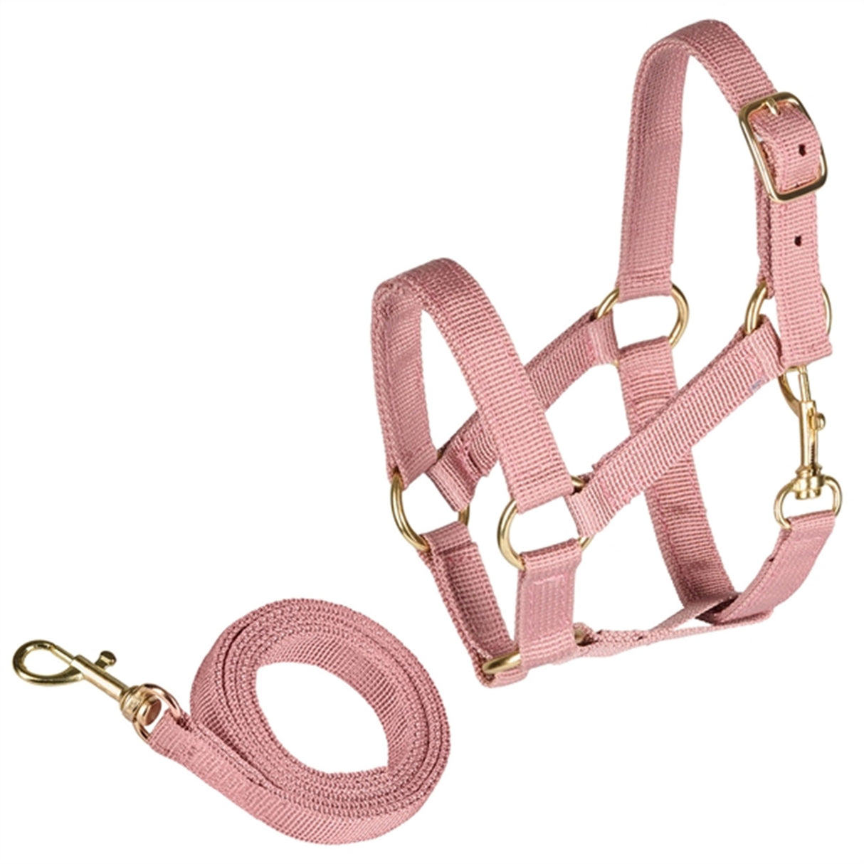 Cheval Roi Halter & Lead Antique Rose