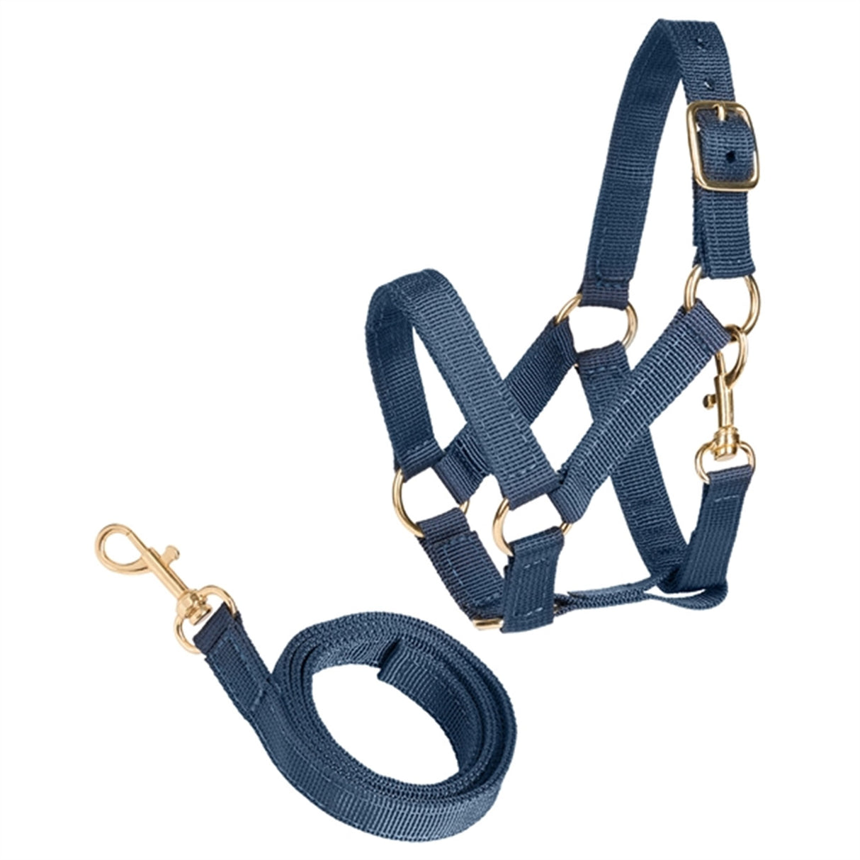 Cheval Roi Halter & Lead Navy Blue