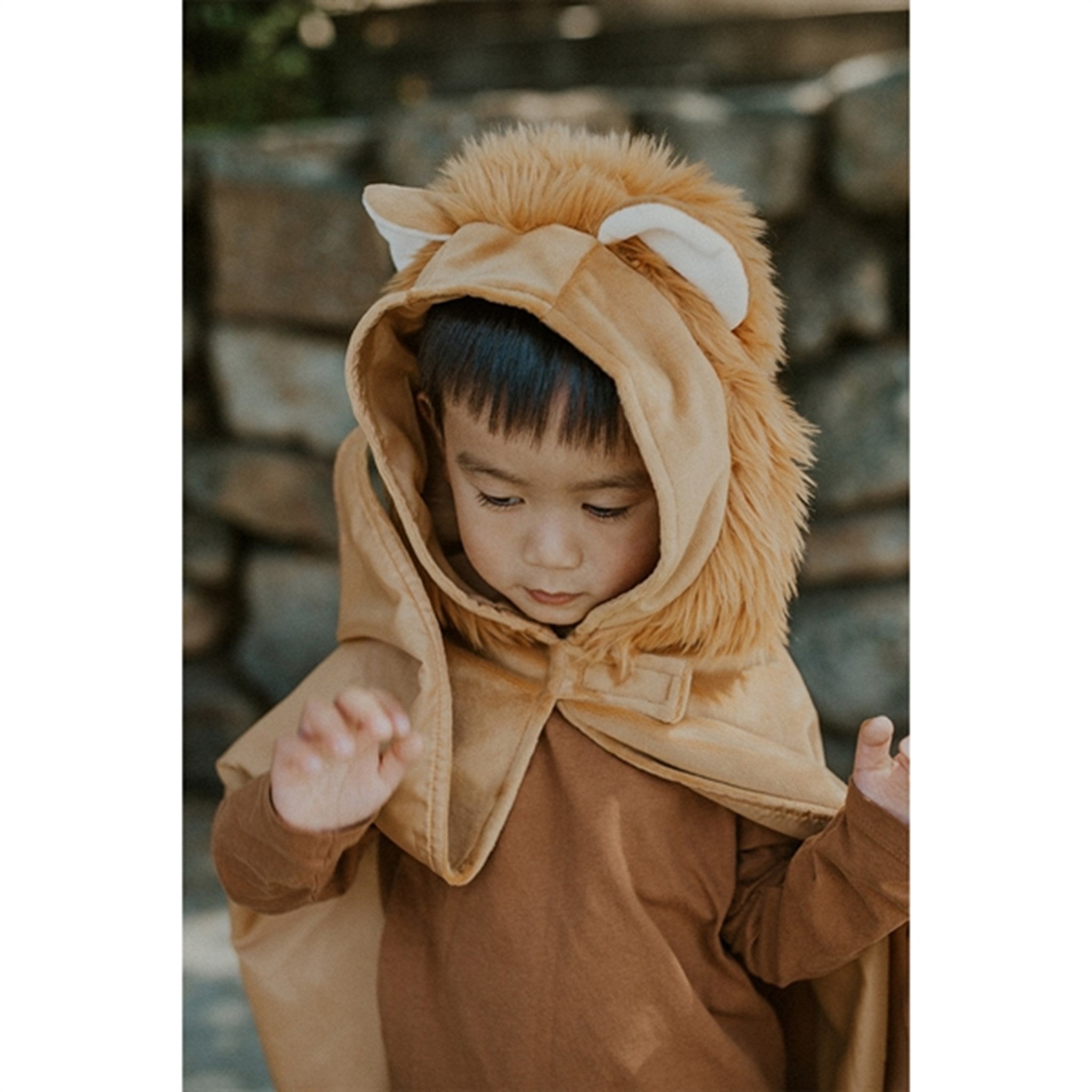 Great Pretenders Lion Toddler Cape 3