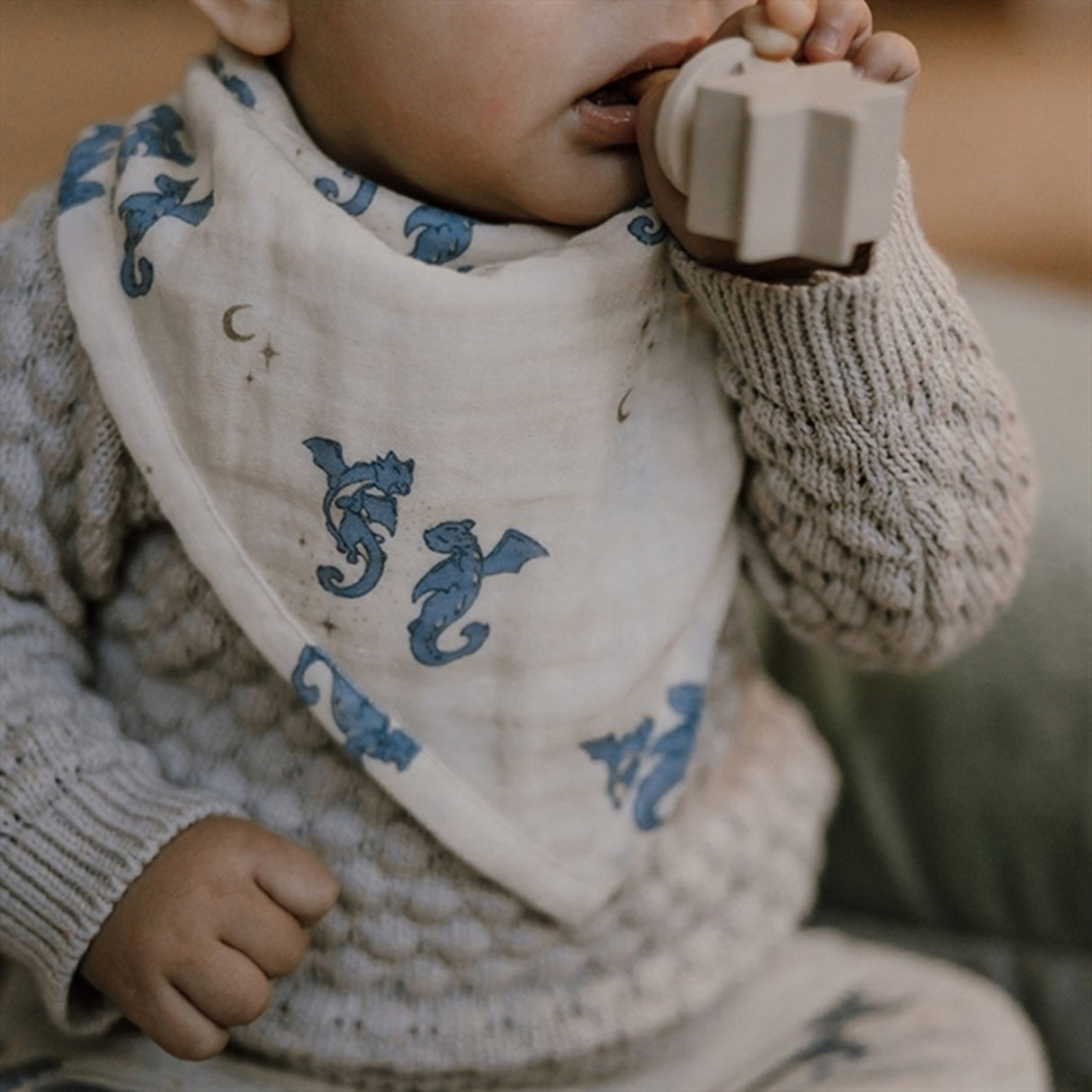 That's Mine Bandana Bib 1-Pack Ly Luna Dragons