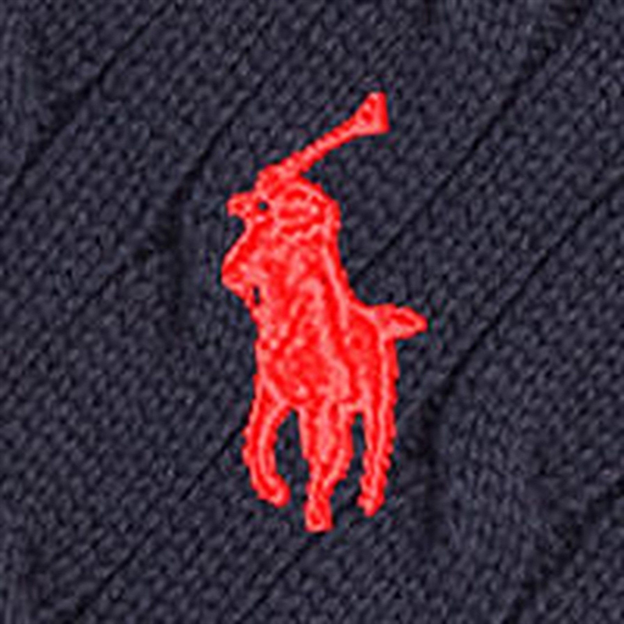 Polo Ralph Lauren Boys Pullover Knit Sweater Rl Navy 3