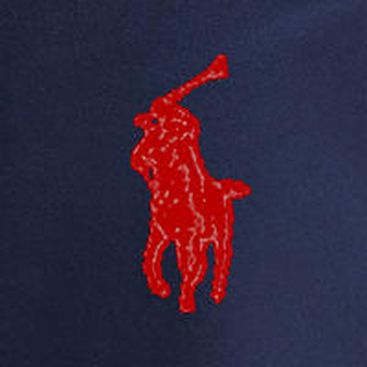 Polo Ralph Lauren Boys Pants Newport Navy