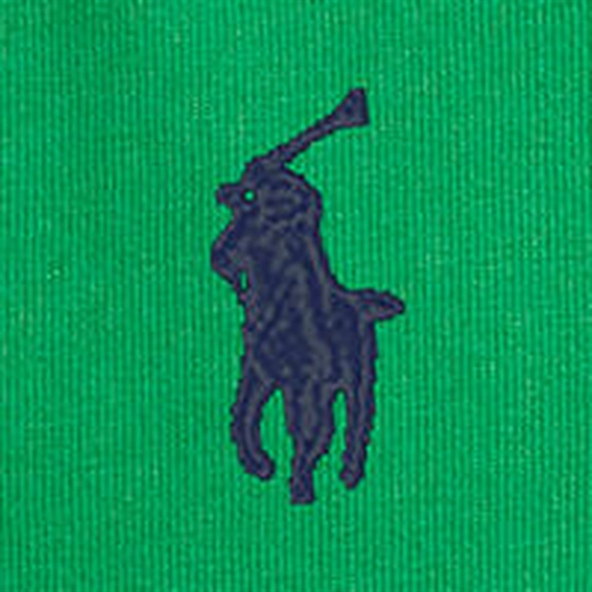 Polo Ralph Lauren Boys T-Shirt Preppy Green